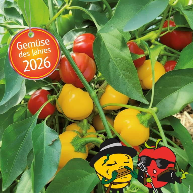 Buntes Paprika-Duo für Balkon & Garten