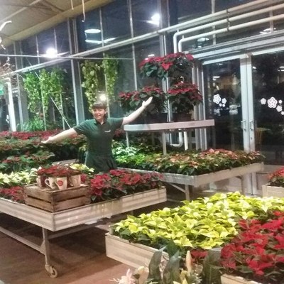 Gartentipp November
