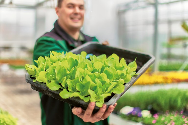 Gartentipp Juni