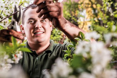 Gartentipp Oktober