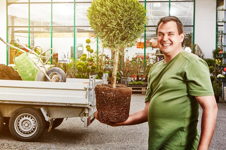 Gartentipp Oktober - Bäume und Sträucher pflanzen